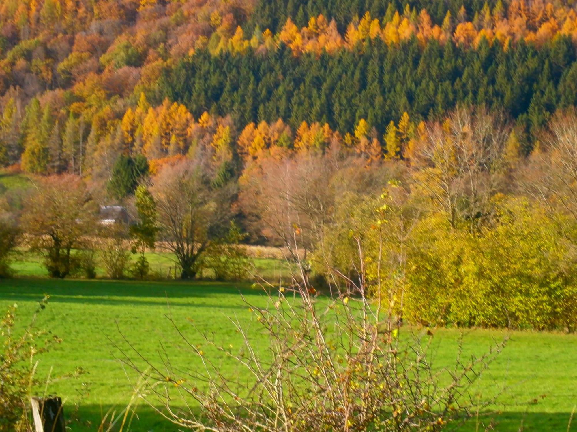 Le Renard'Or Bed & Breakfast Trois-Ponts Luaran gambar