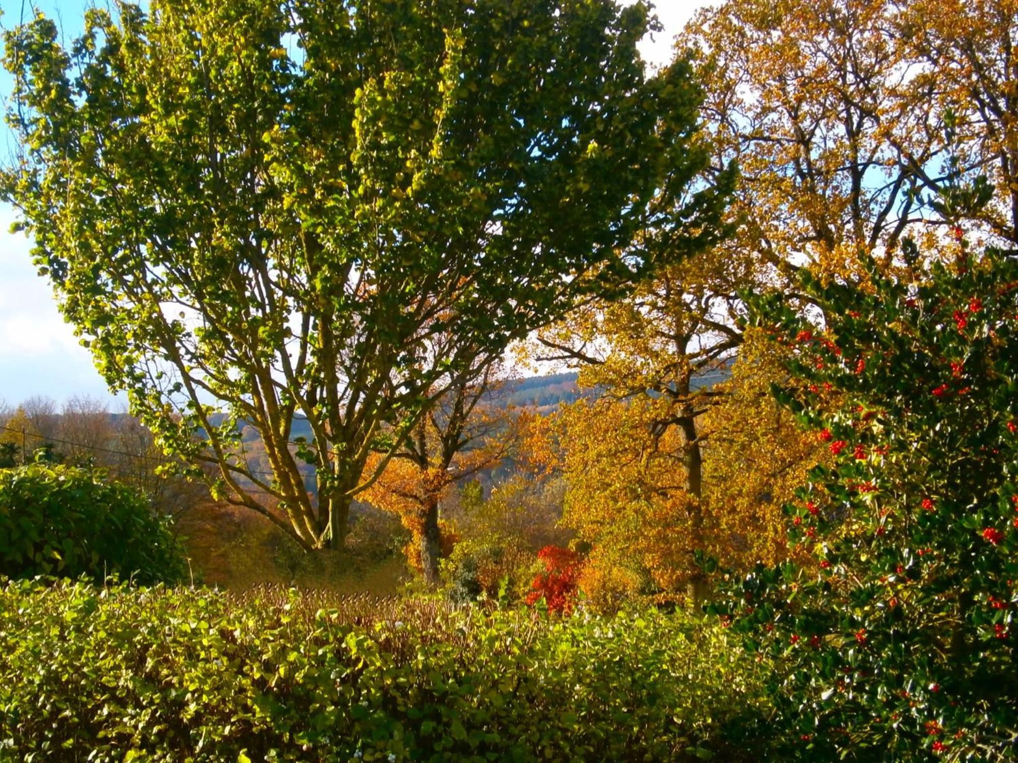 Le Renard'Or Bed & Breakfast Trois-Ponts Luaran gambar