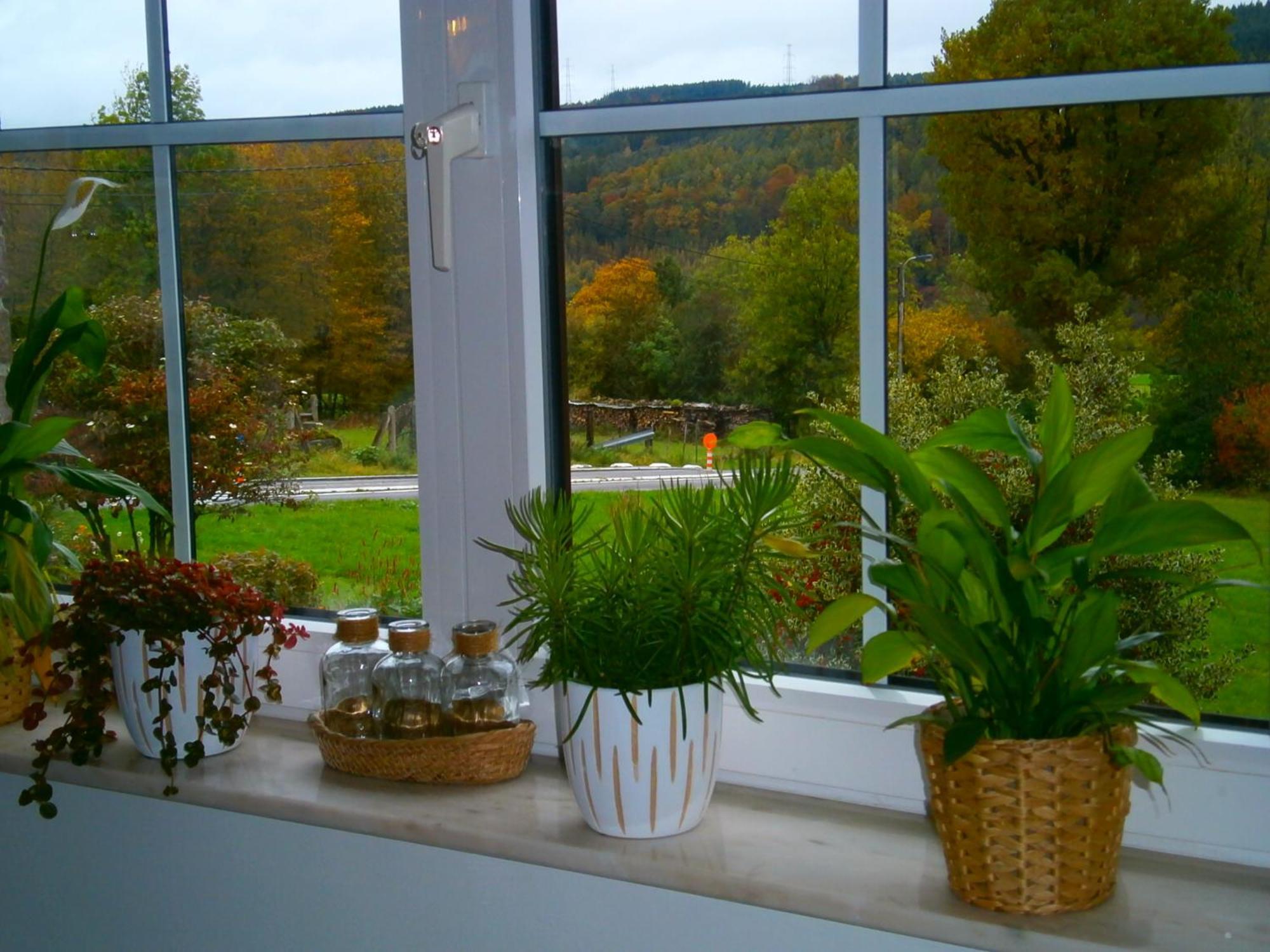 Le Renard'Or Bed & Breakfast Trois-Ponts Luaran gambar