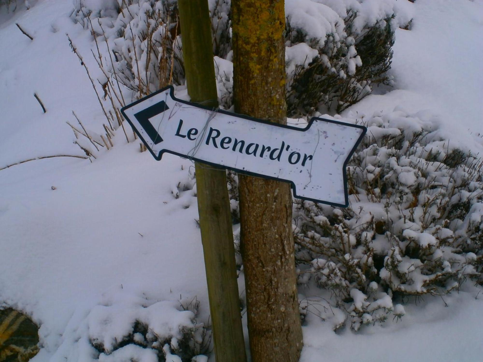 Le Renard'Or Bed & Breakfast Trois-Ponts Luaran gambar